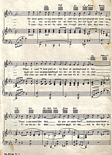 You Belong To My Heart